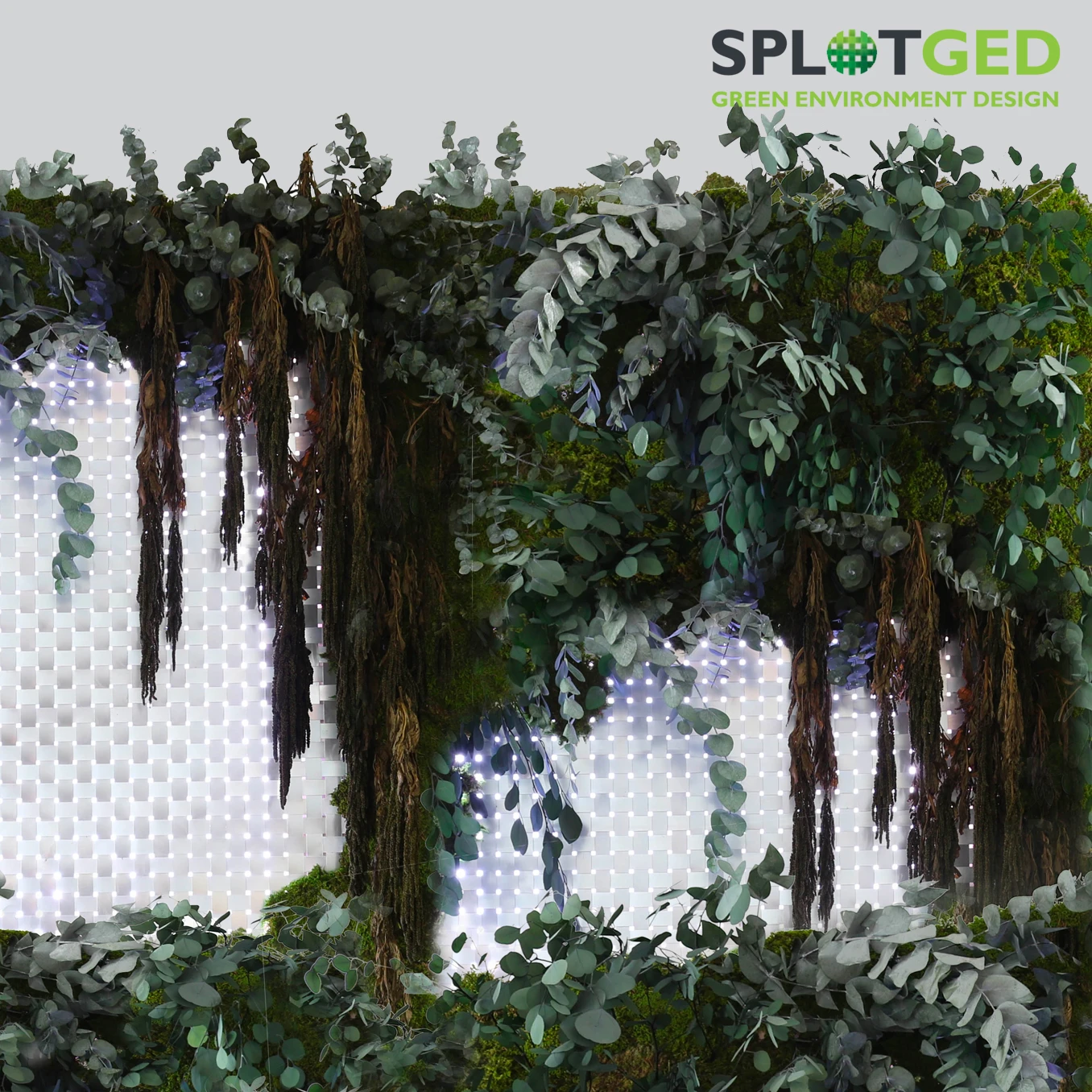 SPLOTGED catalog cover
